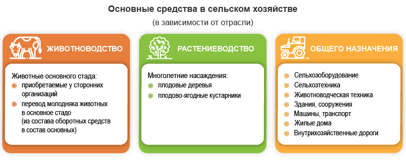 Учет основных средств в сельском хозяйстве
