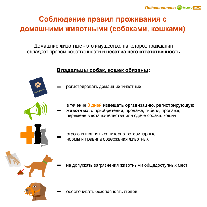 Соблюдение правил проживания с животными