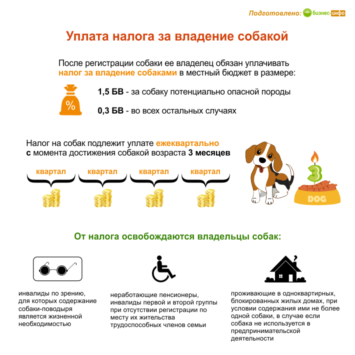 Уплата налога за владение собаками