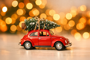 С Рождеством и Новым годом!