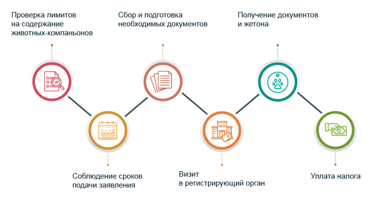 алгоритм действий регистрирации животного-компаньона