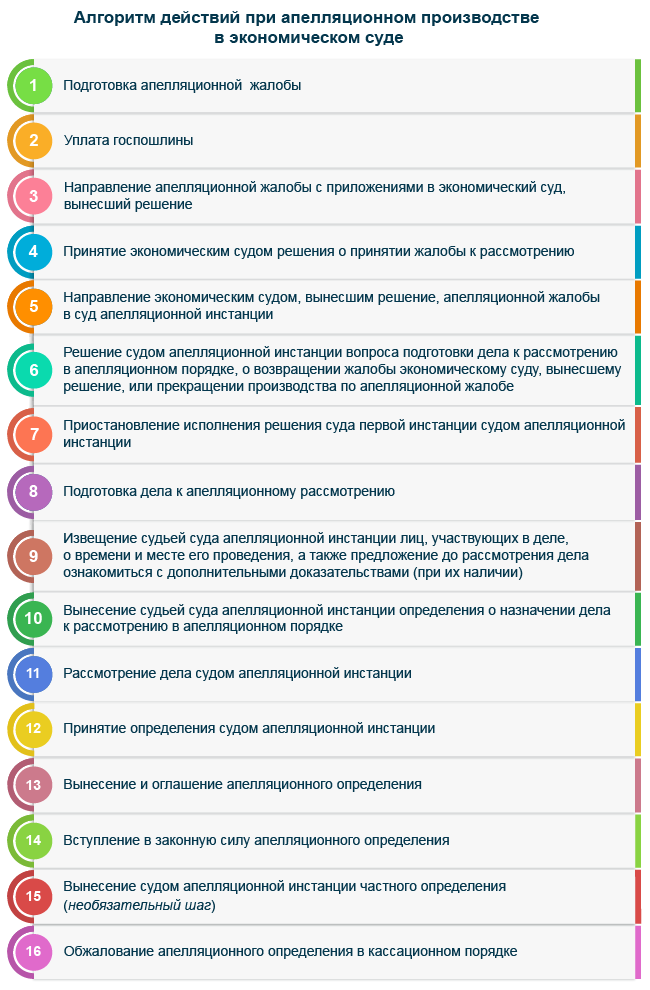 Алгоритм действий при апелляционном производстве в экономическом суде